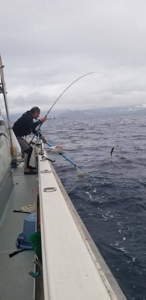 サビキ釣り