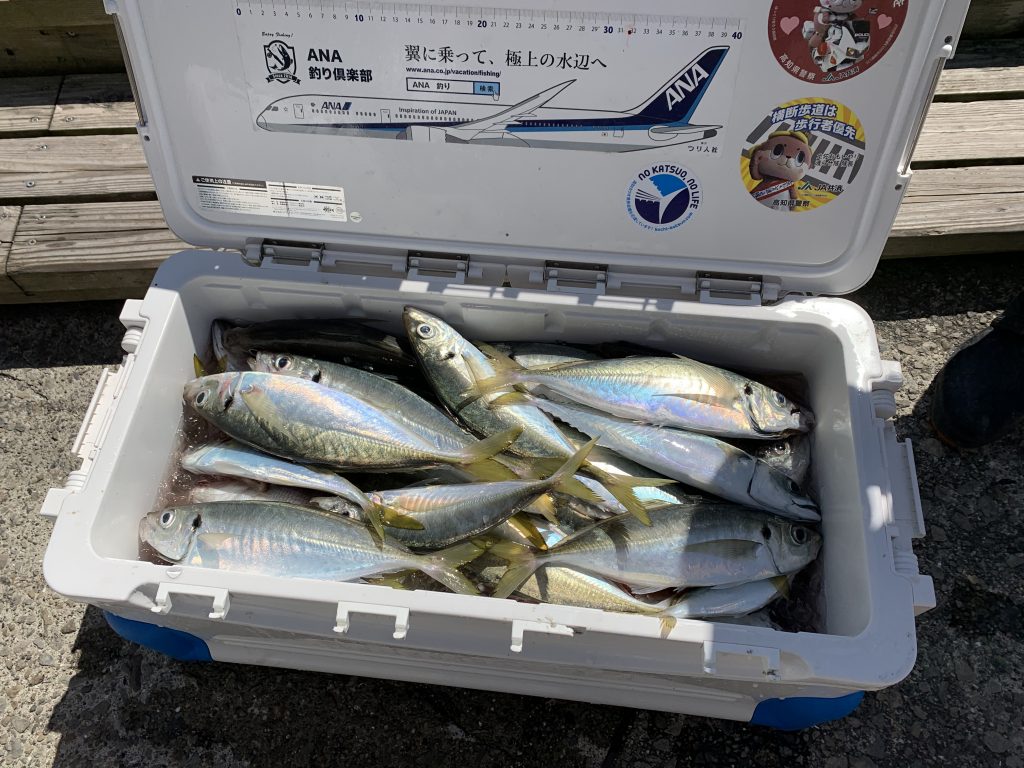 釣りバカ日誌のモデルとなった釣り人のプライベート釣行 須崎市観光漁業センター