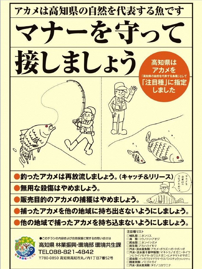 高知県須崎市へアカメ釣りにいらっしゃるアングラーの方へ 須崎市観光漁業センター